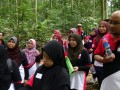 Tn 0968 DSC00143